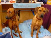 Cooper with his mum Ashiki
