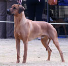  Cooper at the Brisbane national