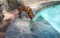 Shakira and the swimming pool