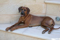 Norka 10 months old