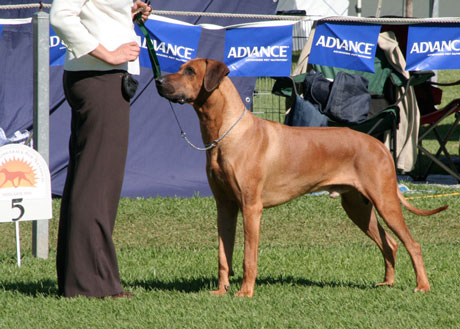 cooper at the National 2010