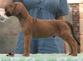 6 weeks
