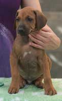 6 weeks