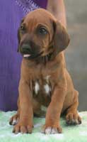 6 weeks