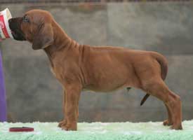 6 weeks