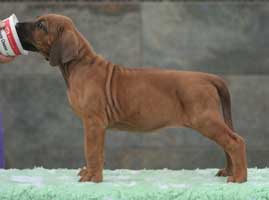 6 weeks