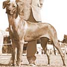 caprivi inside secret