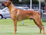 CH Balnacoin Kelton