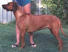 CH Groberspals Nyssa 