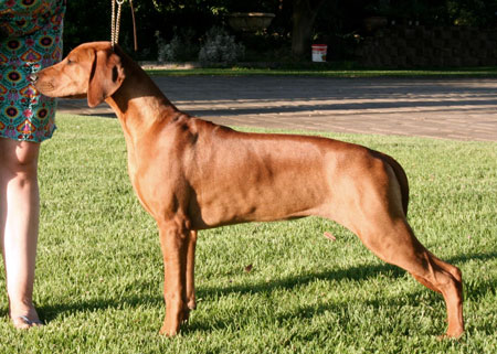 latifa
